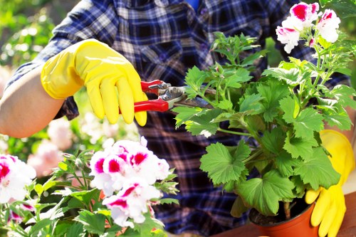 Gardening services in a Clerkenwell courtyard with lush planting