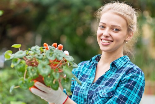 Lawn mowing service maintaining a tidy garden in Clerkenwell