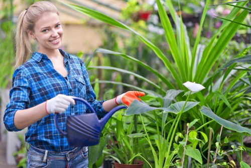 Garden maintenance complaint review with paperwork