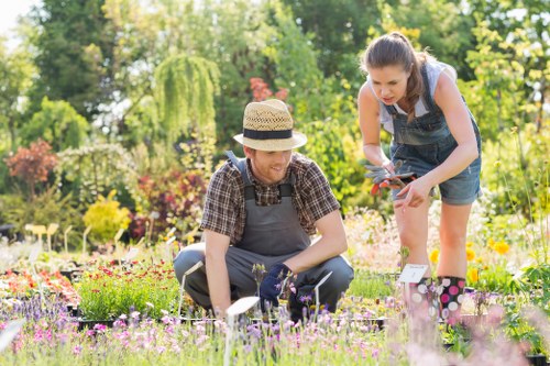 Analytics and performance monitoring cookies for gardeners