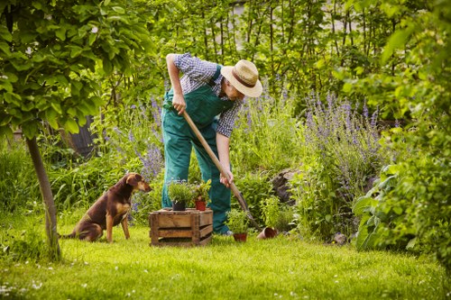 Clerkenwell gardeners maintaining a small urban garden