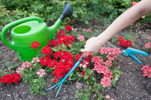 Small residential garden maintenance in Clerkenwell with seasonal flowers