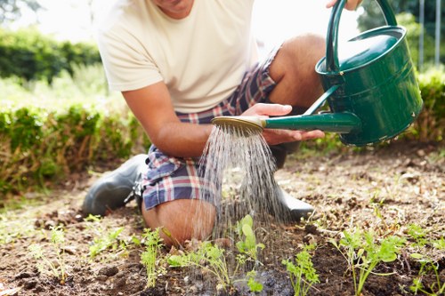 Ongoing accessibility improvements for Clerkenwell garden services