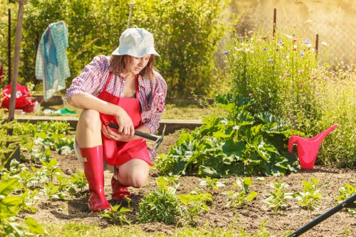 Local gardeners caring for a Clerkenwell terrace garden