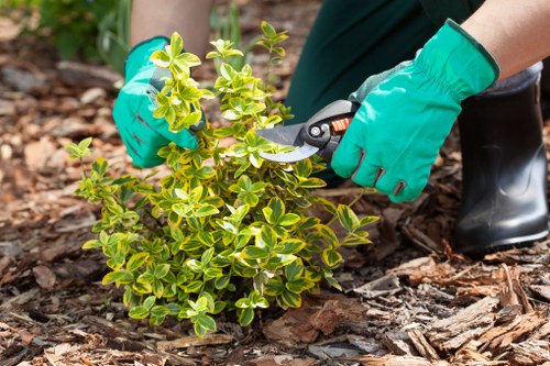 Low-carbon van used for sustainable garden maintenance in Clerkenwell