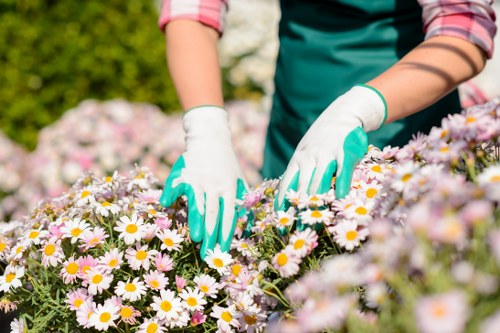 Annual review of ethical labour controls for Gardeners Clerkenwell