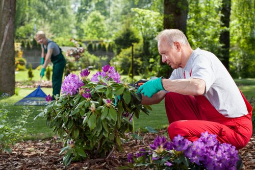 Professional landscape gardening in Clerkenwell featuring raised beds and paths