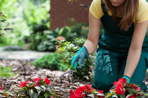 Example of a local garden job near busy Clerkenwell streets and apartment blocks