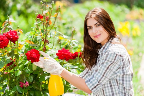 Safe tree removal service near Clerkenwell properties