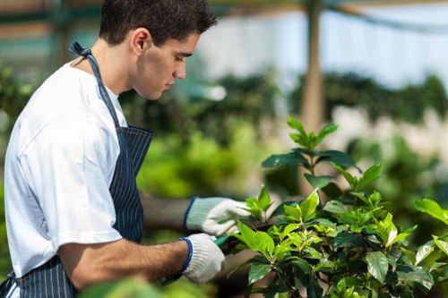Professional gardeners maintaining a clean and safe work area