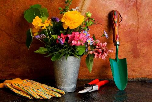 Complaint resolution process for garden services