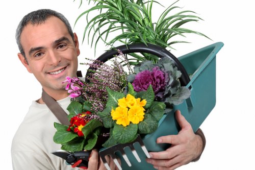 Regular hedge care in Clerkenwell for tidy property boundaries