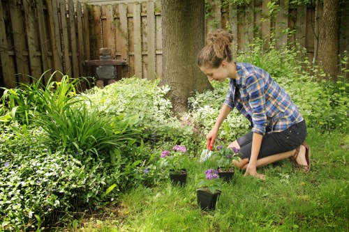 Professional assessment of a gardening service issue