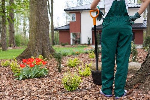 Professional garden maintenance in a London property
