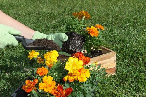 Green waste and debris removal during Clerkenwell garden clearance
