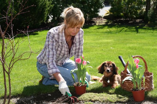 User control over cookie preferences on a gardening website