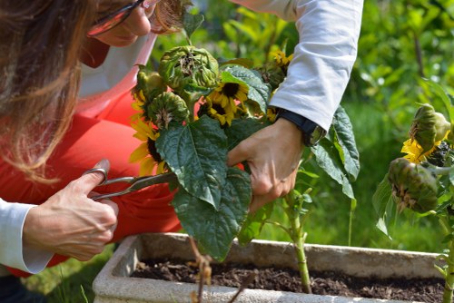 Gardeners in Clerkenwell managing a tidy outdoor workspace